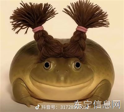 求租东宁及附近平房