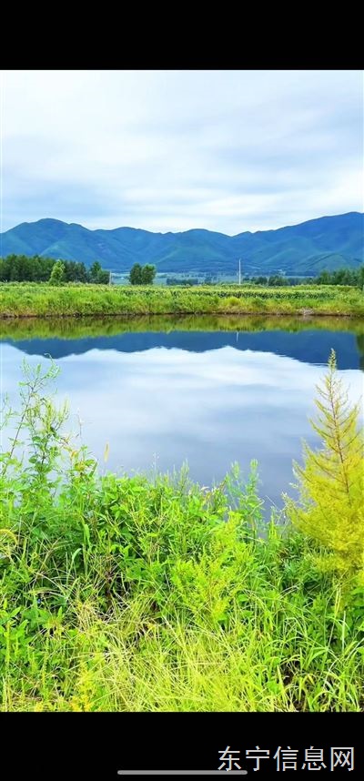 鱼塘农家乐垂钓园三农直播基地对外承包