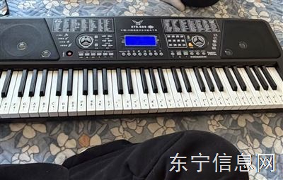 出二手99新，玩具电子琴76键