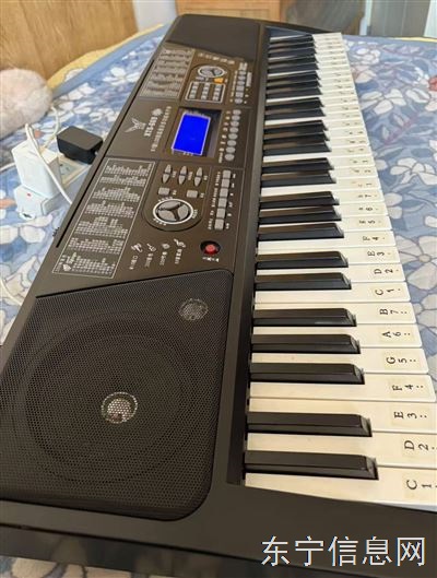 出二手99新，玩具电子琴76键