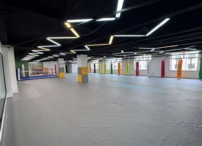 国武武道散打搏击的图标