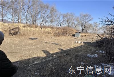 大城子老房子 出租（带一大片后院子可以种菜）