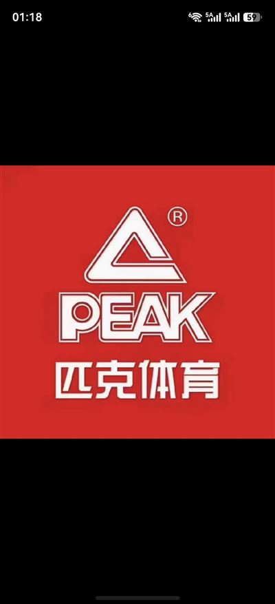 匹克专卖店的图标