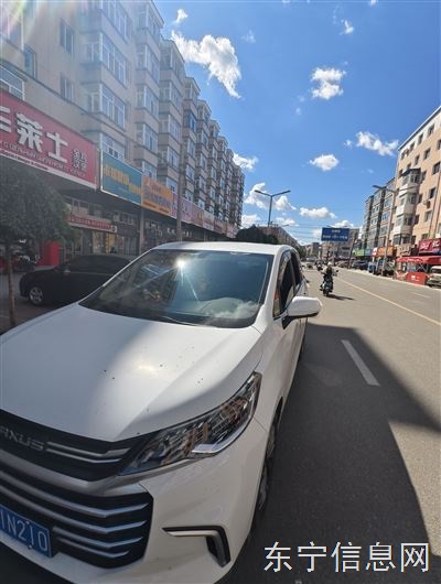 2019年大通g50